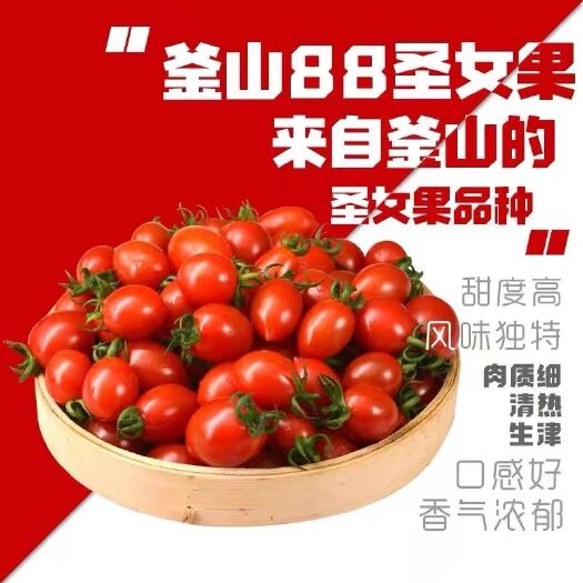 莘县【聊城莘县】釜山88小番茄玲珑圣女果，比千禧更好吃