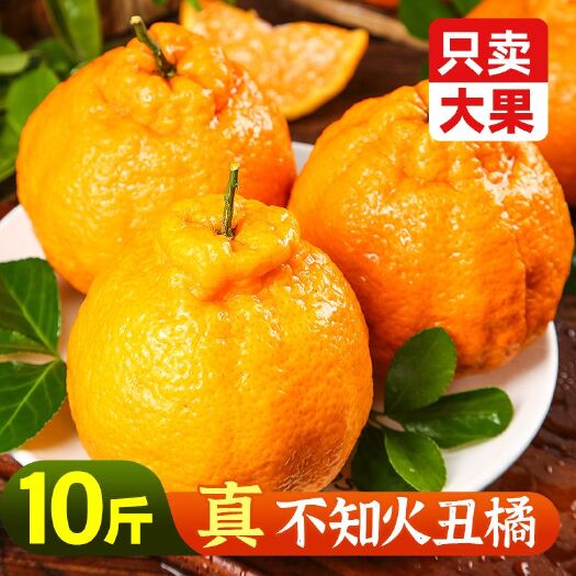 【48小时内发货】不知火丑橘丑柑桔子酸甜橘子 新鲜当季