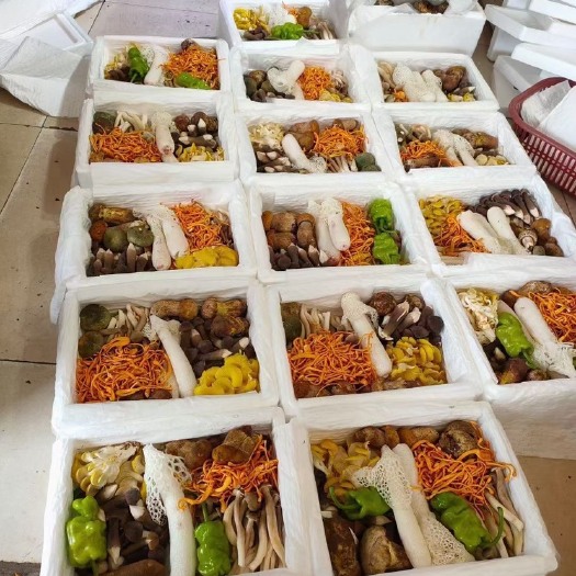 昆明竹荪加各种人工菌