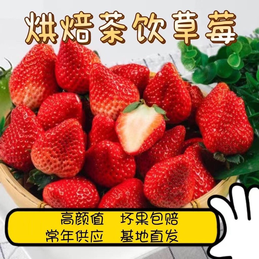 会泽县云南夏季草莓商用糖葫芦果酱茶饮蛋糕烘培