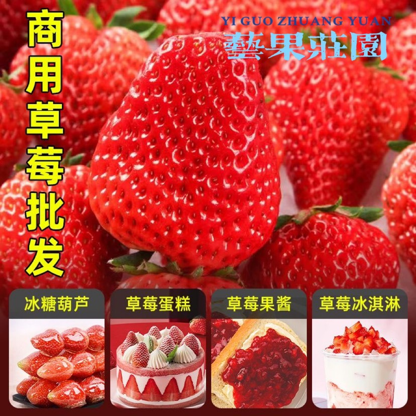 会泽县云南四季双流草莓，商用糖葫芦果酱茶饮蛋糕烘培