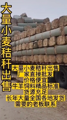 永城市小麦秸秆