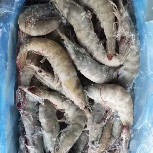 青岛至高无上水冻现货 电商好物，批发一件代发