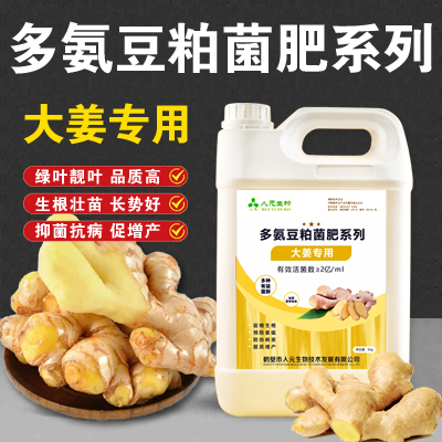 鹤壁人元大姜专用菌肥多肽抗重茬防土传姜瘟提质增产