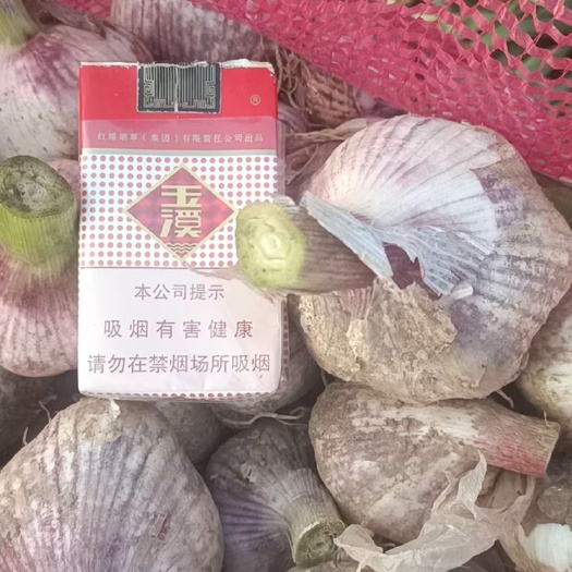 沁阳市精品大蒜