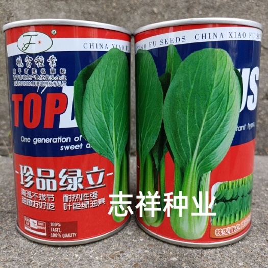 华容县日本引进珍品绿立青梗菜种子 耐热耐雨水强 叶色绿油亮小青菜籽