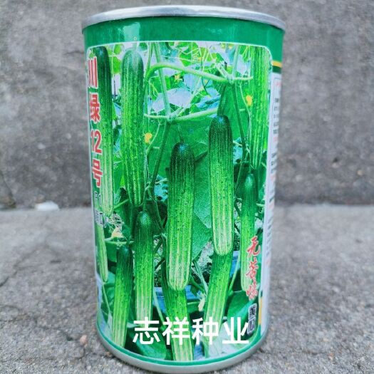 好特黄瓜种子灌装川绿12号杂交黄瓜种籽无苦味本地黄瓜口感脆嫩