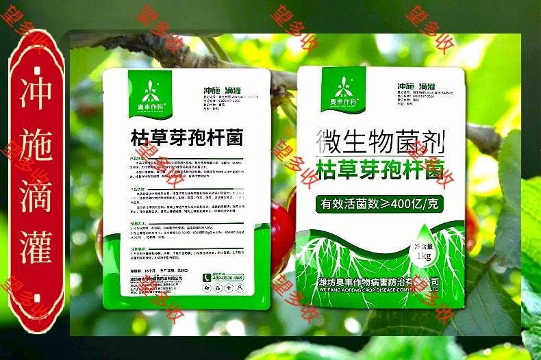 奥丰400亿枯草芽孢杆菌 生根育苗改土防病抗重茬