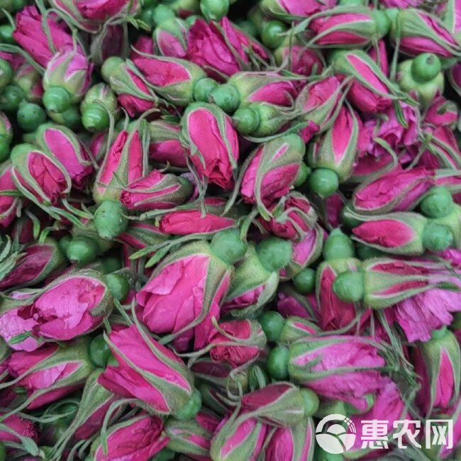 平阴玫瑰鲜花冠 手摘鲜花冠 鲜花蕾，平阴万亩玫瑰种植加工基地