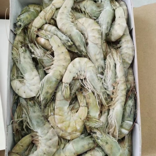 白对虾/沙特虾/一手货源