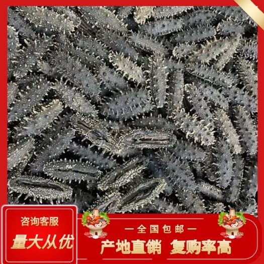 日照海参干  秋参上市，辽参批发，T，L，淡干，都有货