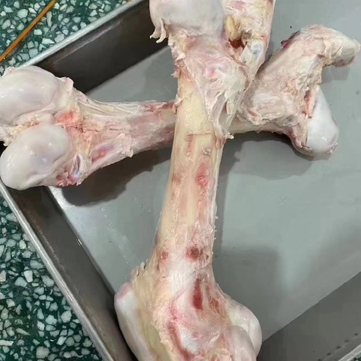 牛棒骨