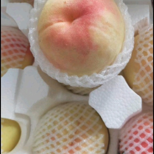 新沂市踢球山水蜜桃