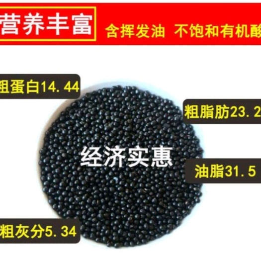 鲁山县精品大红袍花椒籽高油脂