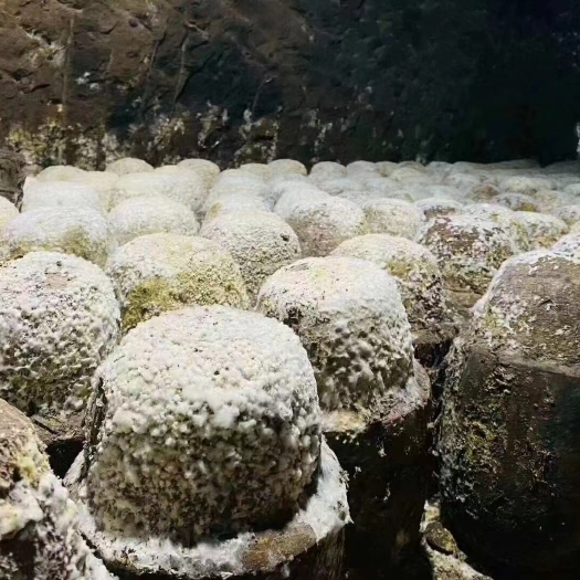 五粮浓香型52度洞藏老酒