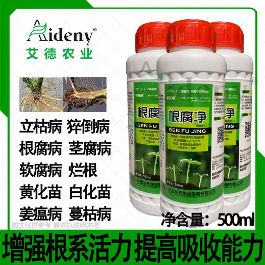 昌乐县菌肥   根腐净苗木花卉蔬菜预防根腐病猝倒溃疡茎基腐病姜瘟病