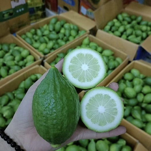 长沙香水柠檬