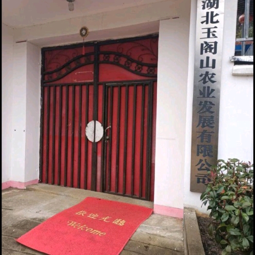 麻城市《养殖场出租或合作》养殖场出租或合作，羊、鹅、鸡舍或其他…