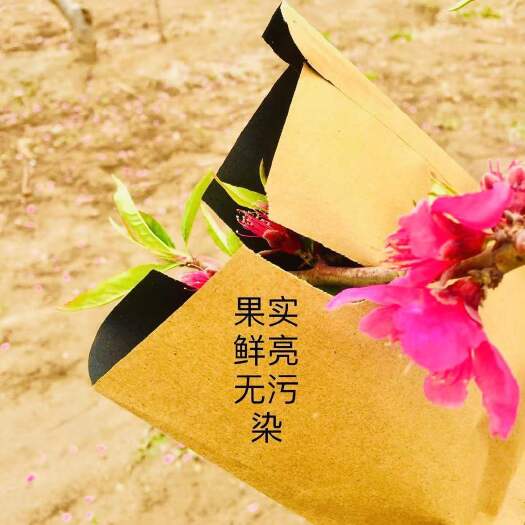 故城县桃子套袋专用袋水果套袋果袋黄桃袋桃子纸袋释迦果石榴莲雾枇杷袋