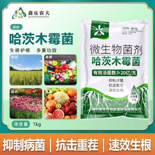 长沙哈茨木霉菌10亿抗重茬养地防治青枯病根腐病枯黄萎病微生物菌剂