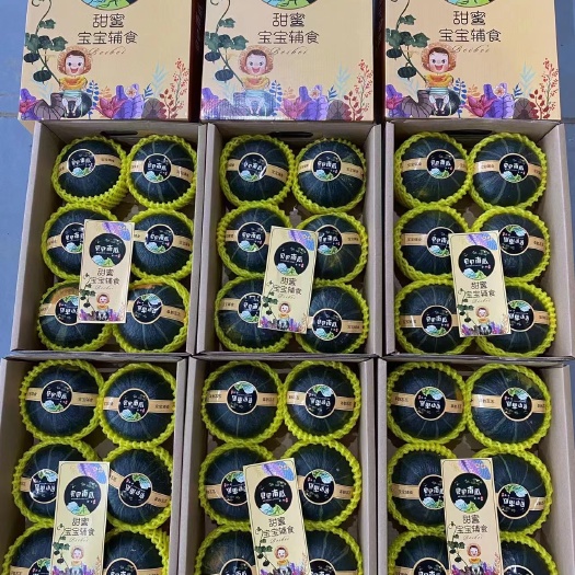 寿光市贝贝南瓜，源头采摘，多品质可选，按需分拣，可实地考察