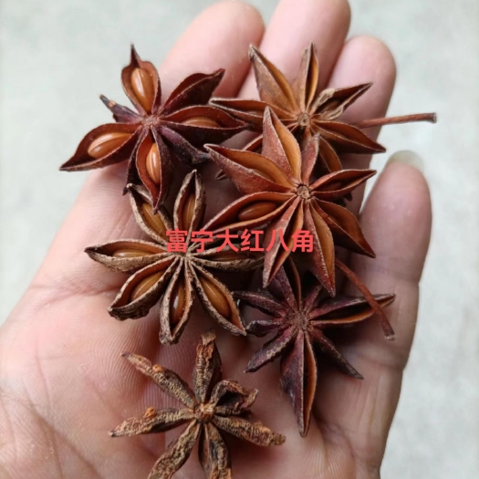 富宁县大红八角，富宁产地直销，2024年新品，全干无硫，阳光晒