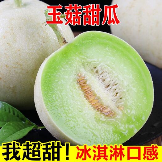 莘县山东省聊城市莘县燕店镇   产地玉菇甜瓜   现摘现发