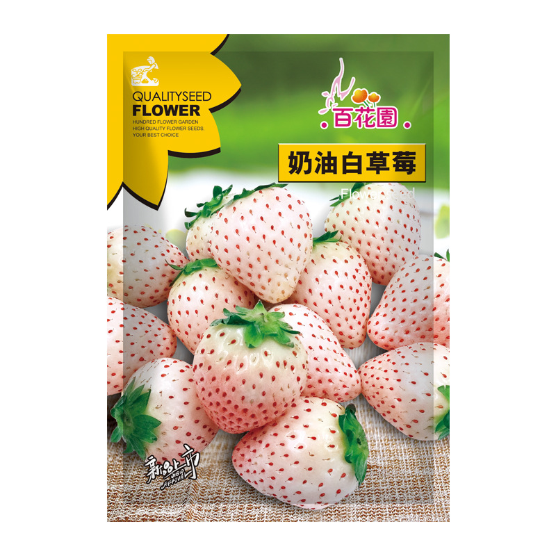 四季奶油草莓种子多年生农田菜园盆栽果香浓郁可口水果蔬菜种子