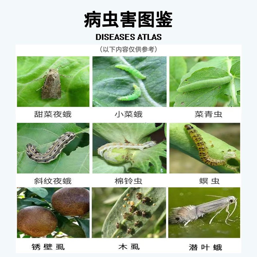 10%虱螨脲柑橘锈壁虱甜菜夜蛾菜青虫木虱螟虫蔬菜果树杀虫剂