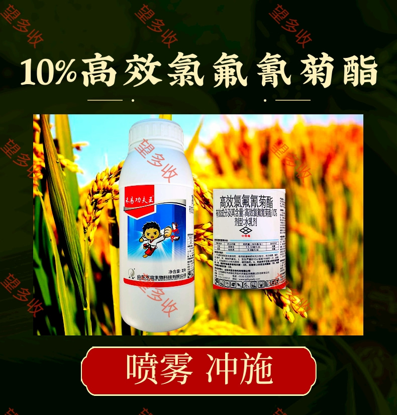 10%高效氯氟氰菊酯 功夫王 1000毫升 杀虫剂