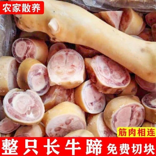 南京新鲜黄牛蹄整只现切带骨带牛蹄筋生牛蹄炖汤火锅牛蹄脚牛脚