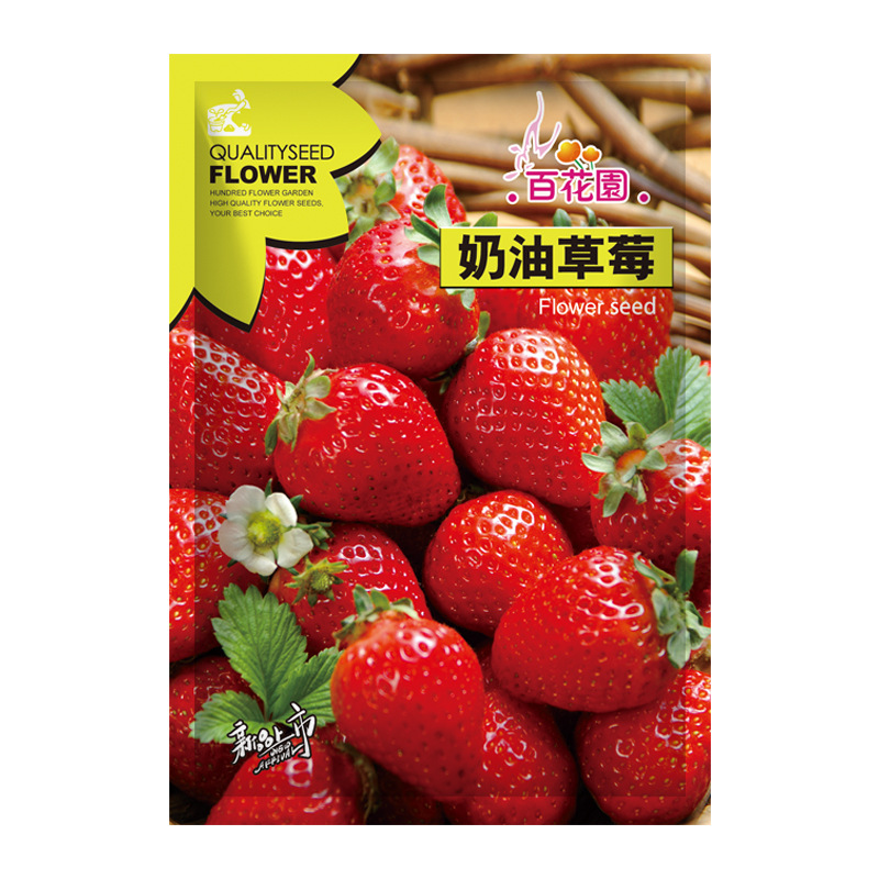四季奶油草莓种子多年生农田菜园盆栽果香浓郁可口水果蔬菜种子