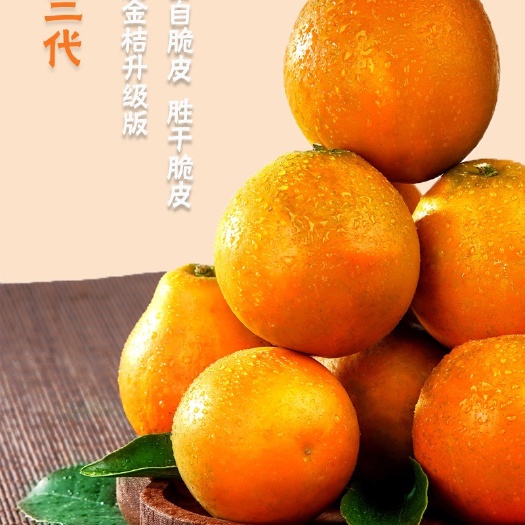建水县脆蜜金柑苗