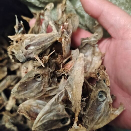 饲料鱼干