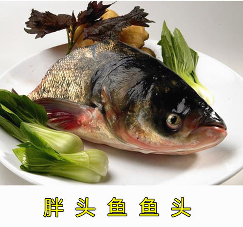 洪湖市现杀胖头鱼白鲢鱼花鲢鱼头红鲤鱼草鱼鱼头宰杀后折15-20%