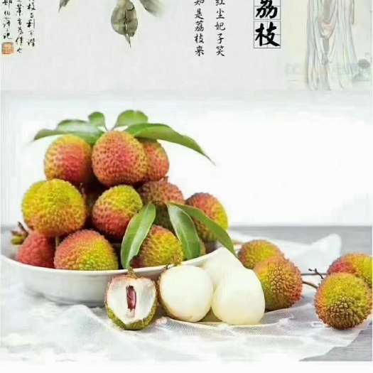 高州市高州根子镇白糖罂跟妃子笑荔枝
