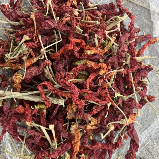 望都县出售线椒通货