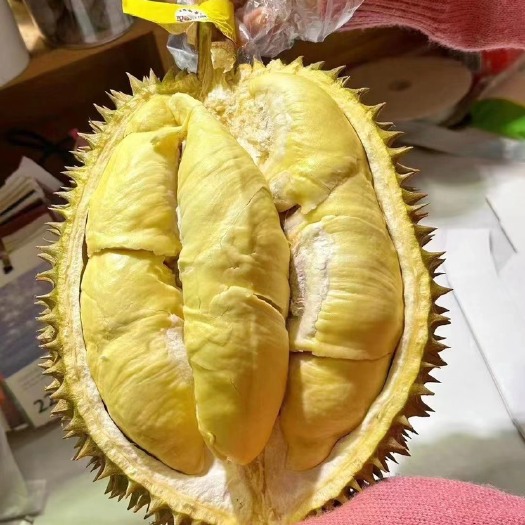 东莞市榴莲 金枕 一件可发a果  质量三包