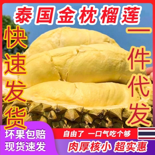 昆明泰国金枕榴莲鲜果新鲜带壳一整个热带水果一件代发