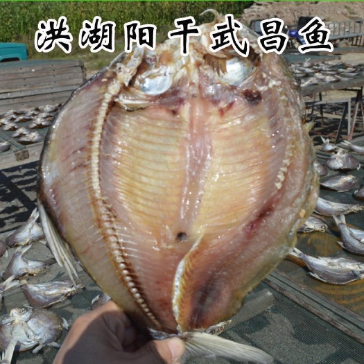 鳊鱼腊鱼干武昌鱼腌鳊鱼干风干阳干块