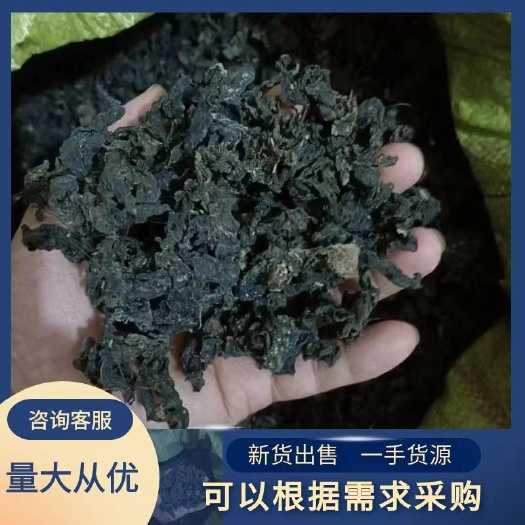 淅川县地皮菜地曲莲炒鸡蛋野生地皮菜炒鸡蛋过筛货