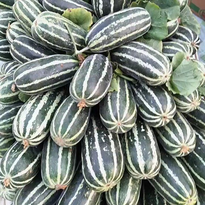 ز ڸŹκãŵһȫգ