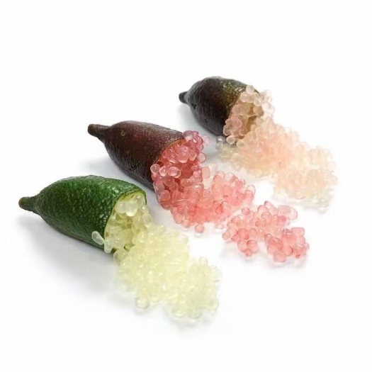 漳州手指柠檬澳洲彩檬指檬