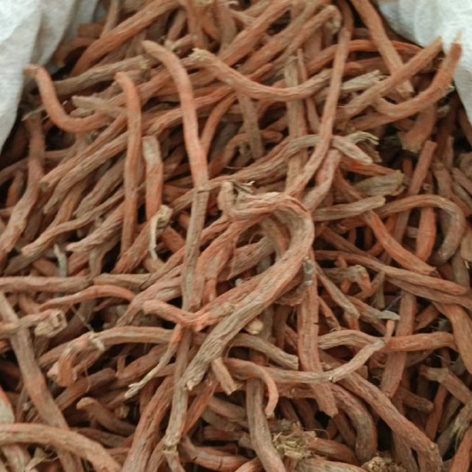 玉林中药材丹参