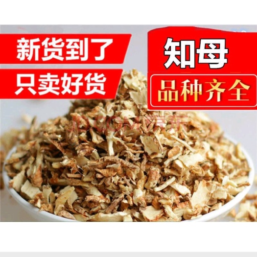 鄄城县【知母】产地河北一手货源大货供应规格齐全量大优惠。