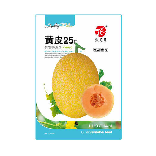 黄皮红肉哈密瓜种子 粒尔田黄皮25 肉质脆甜厚皮甜瓜种子