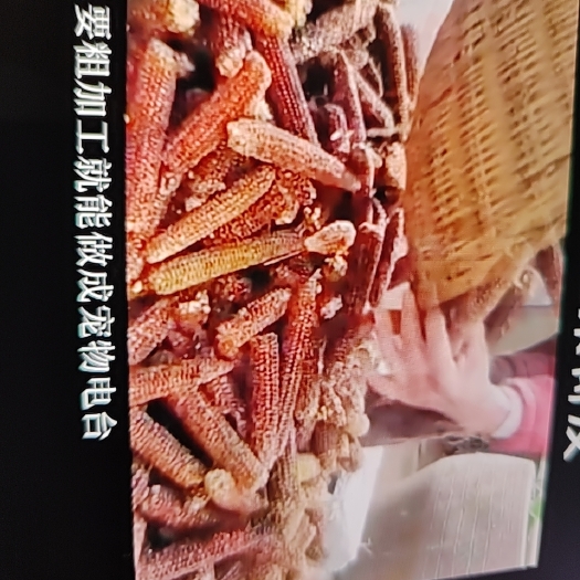 德江县玉米芯