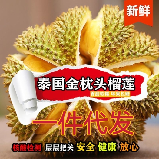 昆明泰国金枕头榴莲水果带壳鲜果大榴莲超低价格强烈推荐‼️