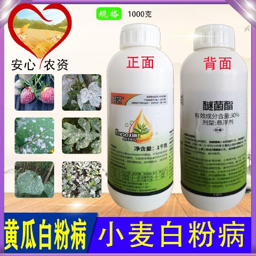 佳艺醚菌酯黄瓜小麦白粉病悬浮剂杀菌剂