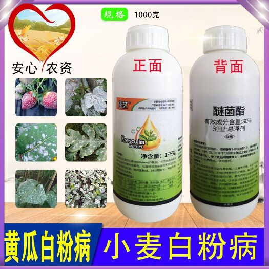 苏州佳艺醚菌酯黄瓜小麦白粉病悬浮剂杀菌剂